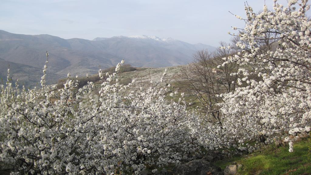 Hostal Yuste Garganta la Olla Dış mekan fotoğraf