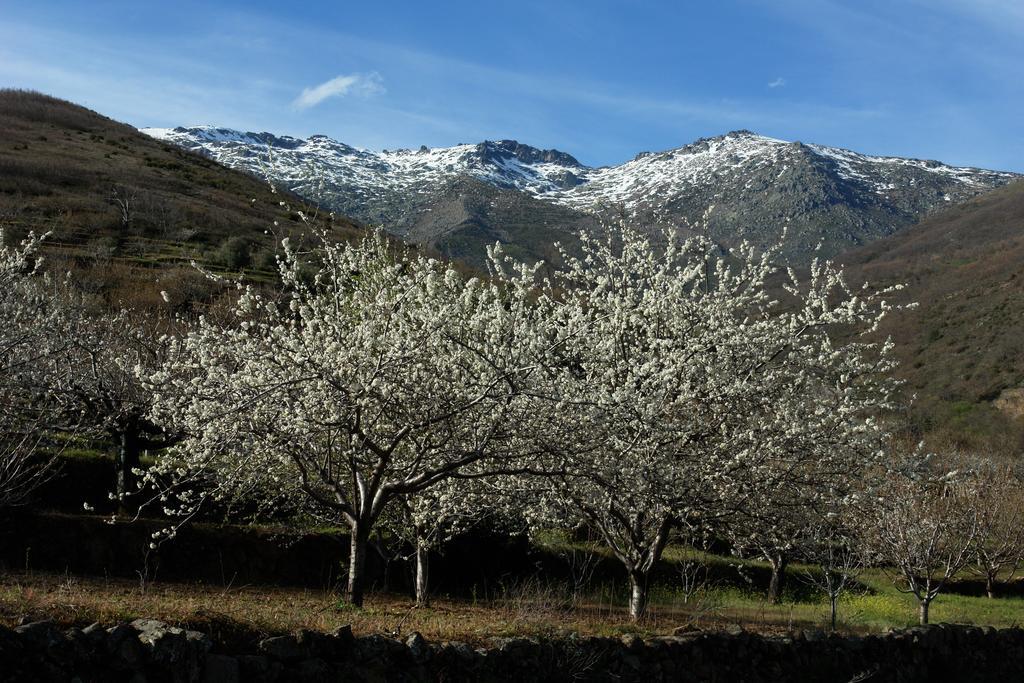Hostal Yuste Garganta la Olla Dış mekan fotoğraf